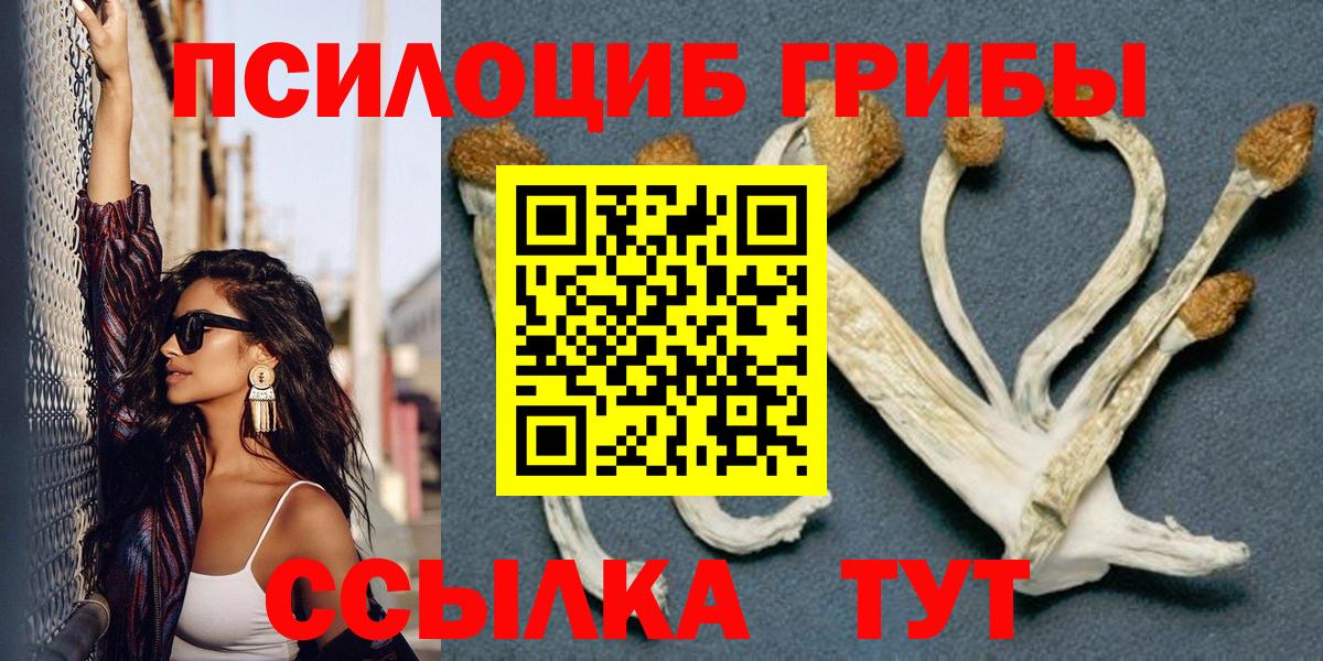 Галлюциногенные грибы прущие грибы  Вход с VPN  Рыбинск 